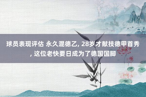 球员表现评估 永久混德乙, 28岁才献技德甲首秀, 这位老快要日成为了德国国脚