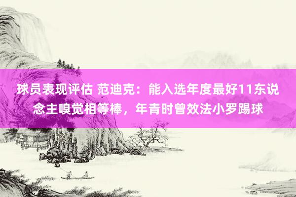 球员表现评估 范迪克：能入选年度最好11东说念主嗅觉相等棒，年青时曾效法小罗踢球