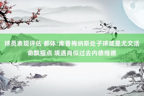 球员表现评估 都体:库普梅纳斯处子球或是尤文活命飘摇点 境遇肖似过去内德维德