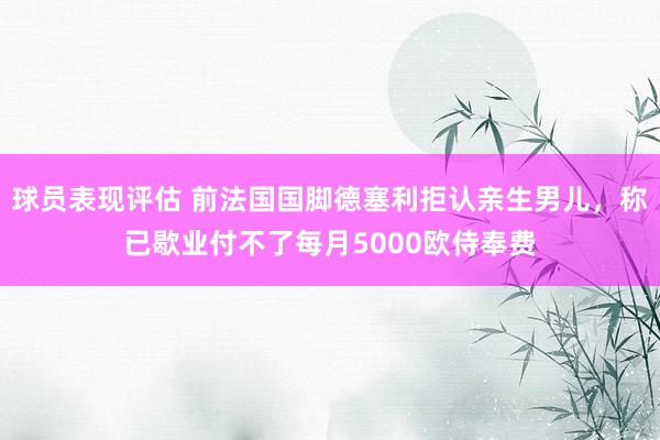 球员表现评估 前法国国脚德塞利拒认亲生男儿，称已歇业付不了每月5000欧侍奉费