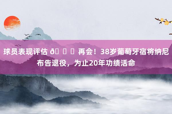 球员表现评估 👋再会！38岁葡萄牙宿将纳尼布告退役，为止20年功绩活命